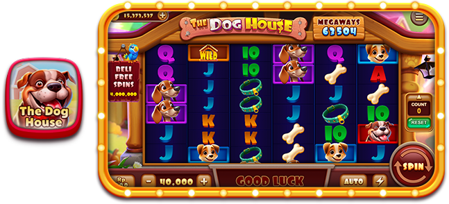 Chasing Bk9casinoau Big Wins: What You Need to Know